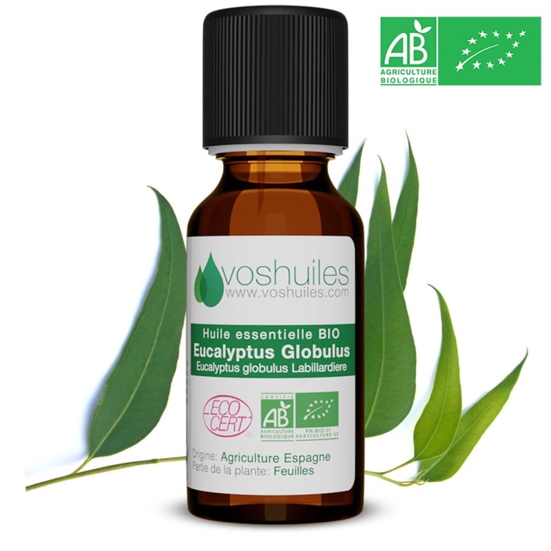 Les bienfaits de l'huile essentielle d'eucalyptus globulus de BioNéo 