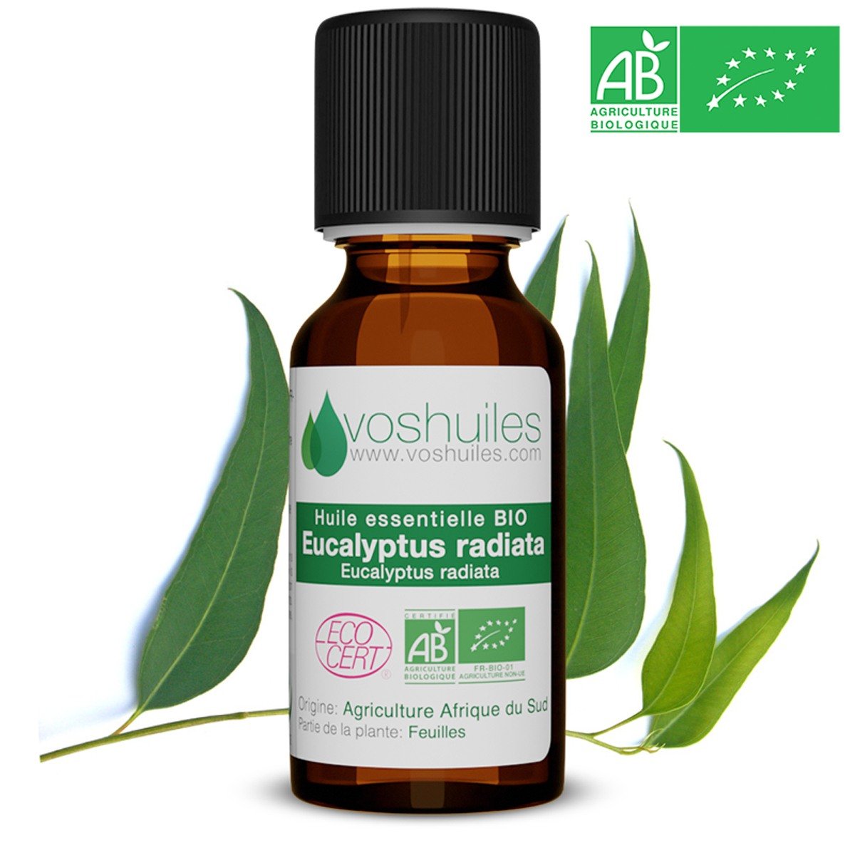 Huile Essentielle Eucalyptus Radié Bio* 100% Pure & Naturelle