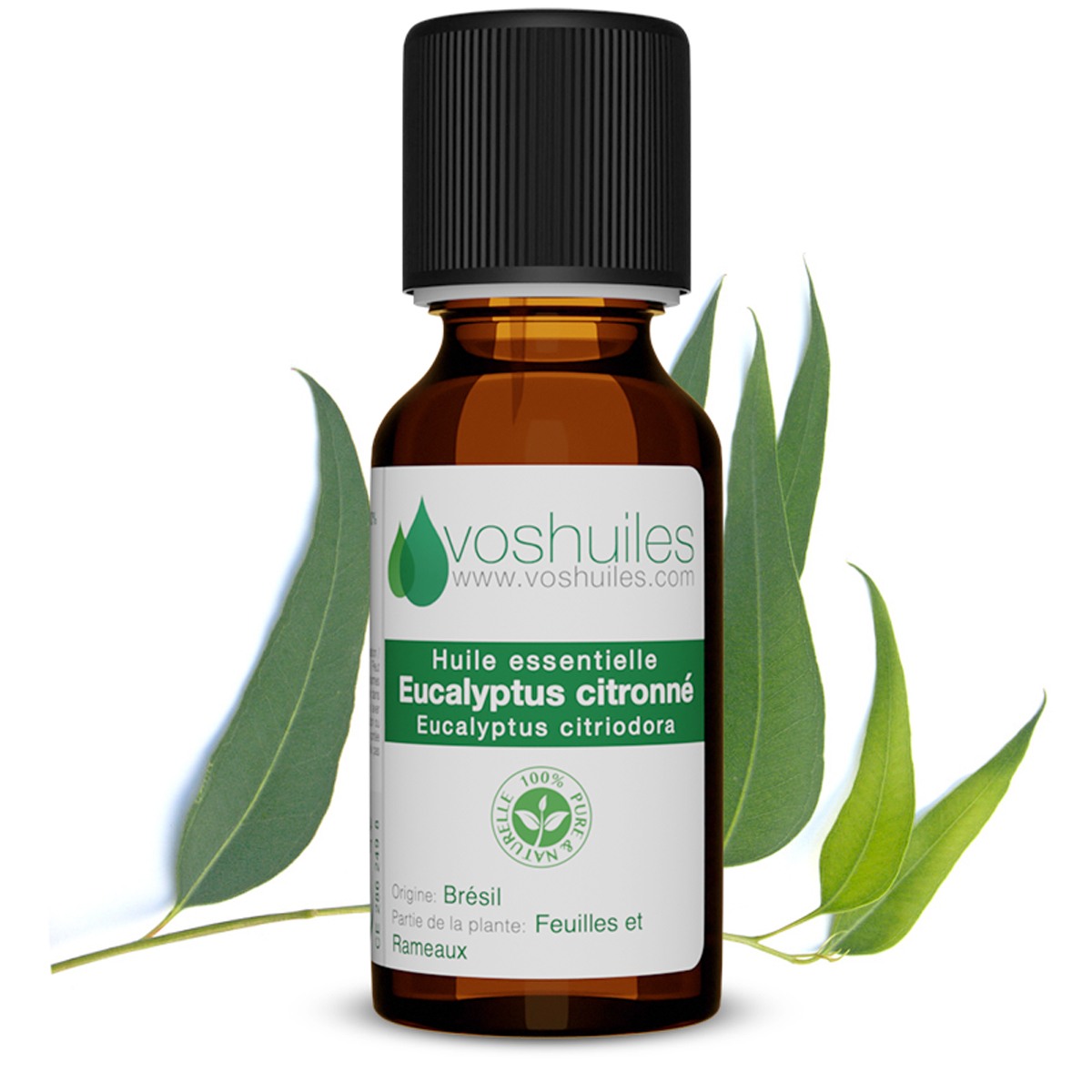 Huile Essentielle Eucalyptus 10ML | Genilux ® Manufacturing ® B